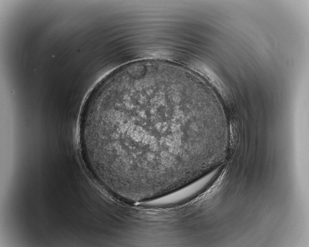 X0000093410780200710190944