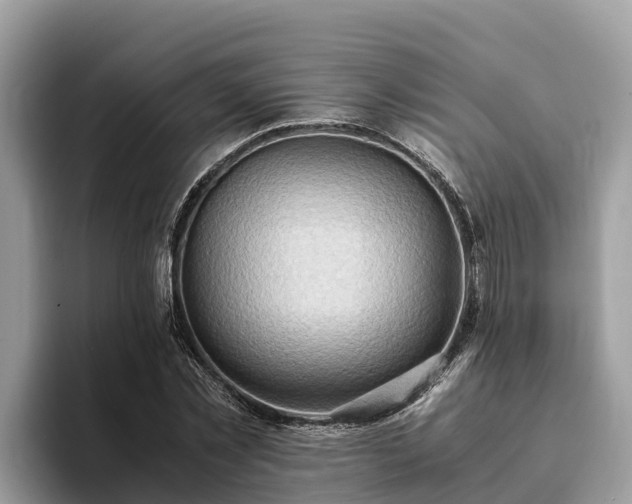 X0000093410781200710190944