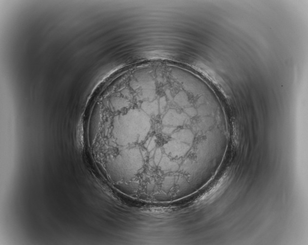 X0000093410782200710190944