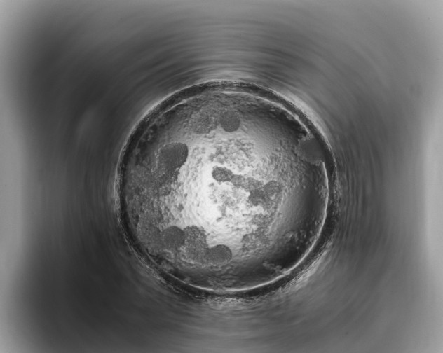 X0000093410783200710190944