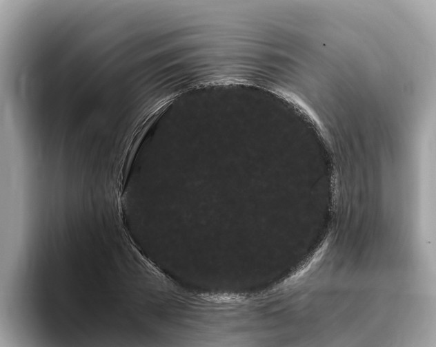 X0000093410785200710190944