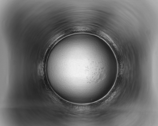 X0000093410786200710190944