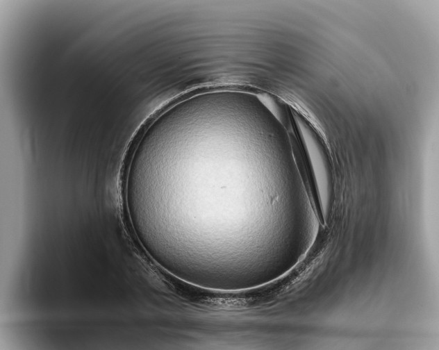 X0000093410789200710190944