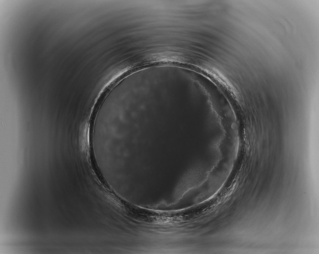 X0000093410790200710190944