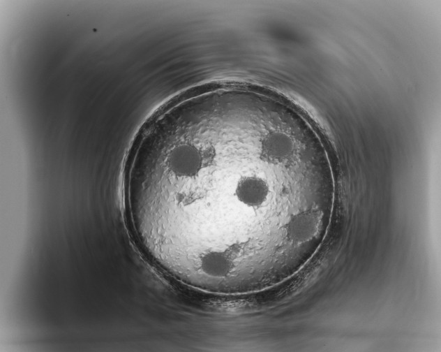 X0000093410791200710190944