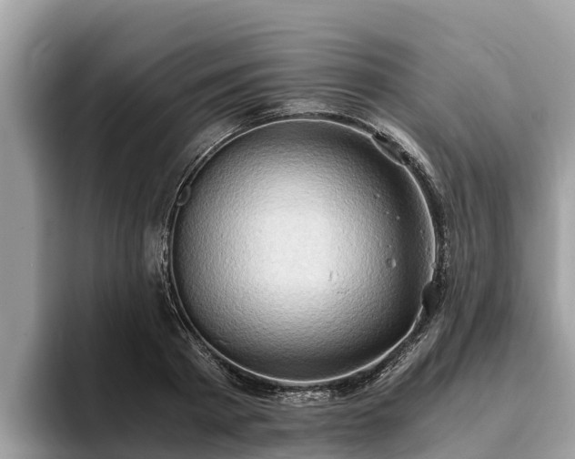 X0000093410793200710190944