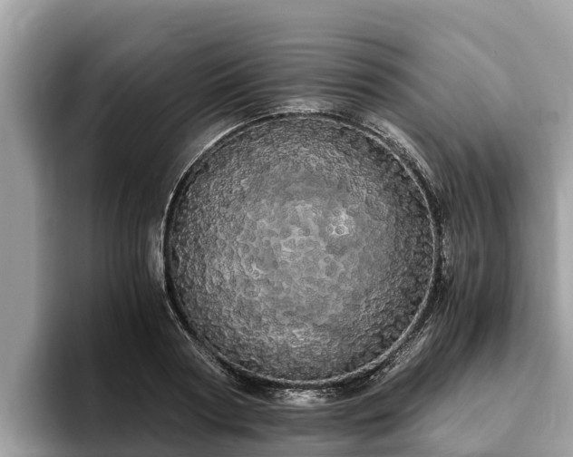 X0000093410794200710190944