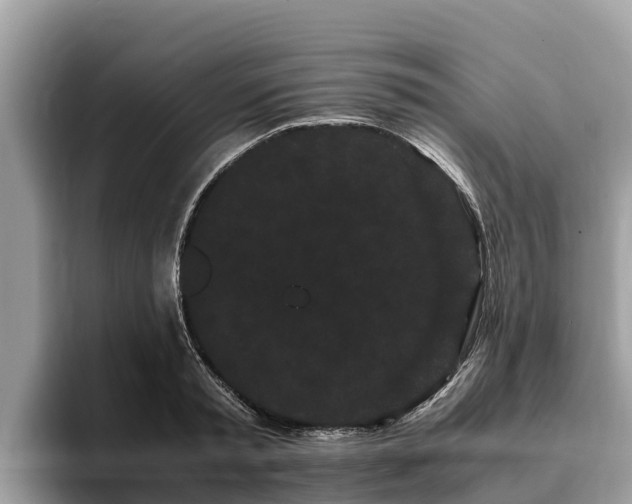 X0000093410797200710190944