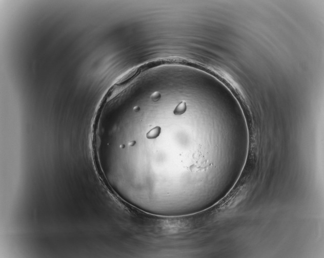 X0000093410799200710190944