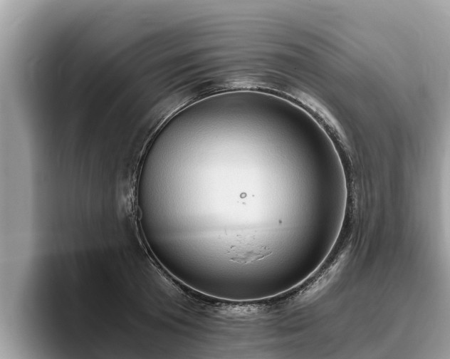 X0000093410801200710190944