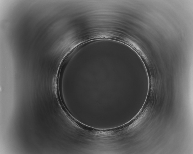 X0000093410802200710190944