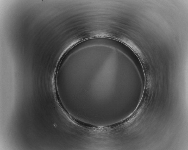 X0000093410806200710190944