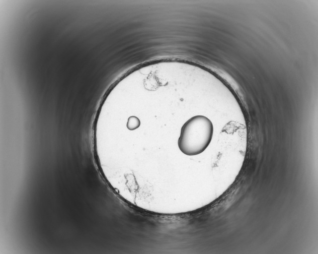 X0000093410807200710190944