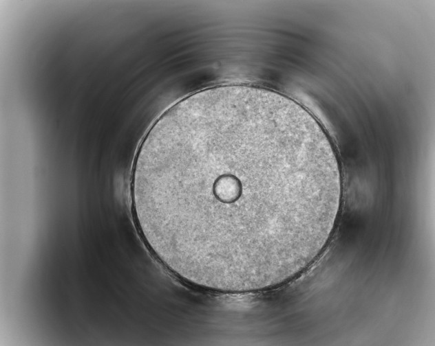 X0000093410810200710190944