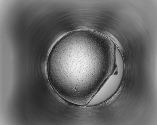 X0000093410812200710190944