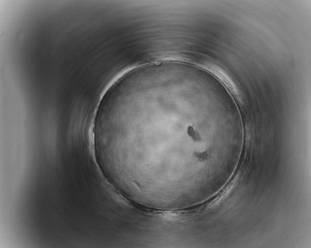 X0000093410814200710190944