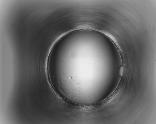 X0000093410815200710190943