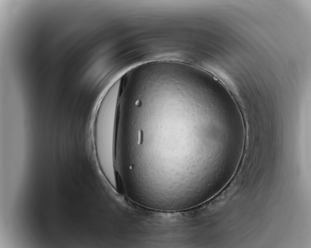 X0000093410816200710190943