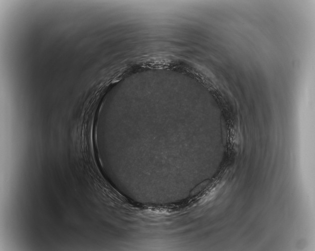 X0000093410818200710190943