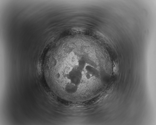 X0000093410819200710190943