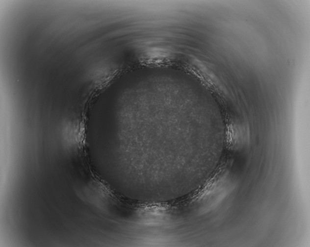 X0000093410820200710190943