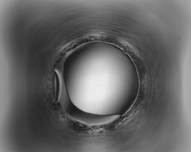 X0000093410822200710190943