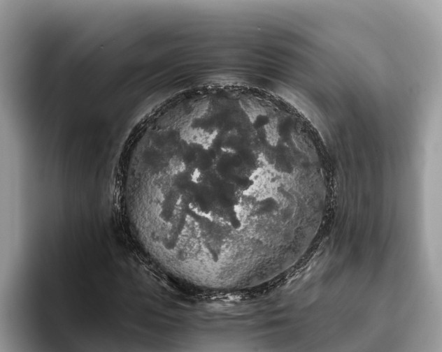 X0000093410823200710190943