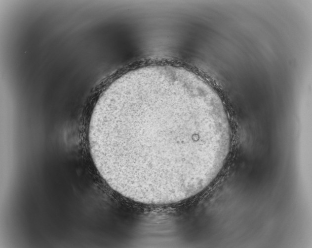 X0000093410824200710190943