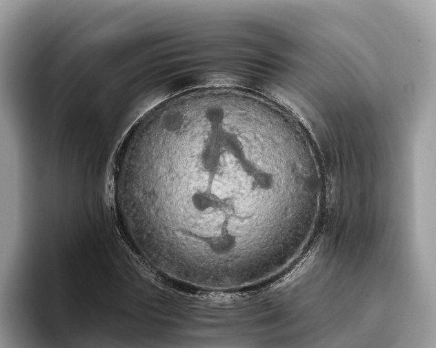 X0000093410827200710190943