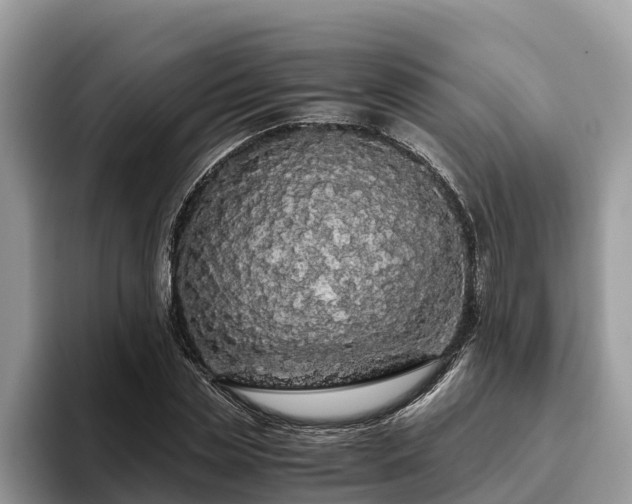 X0000093410829200710190943