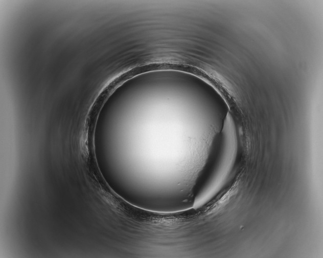 X0000093410830200710190943