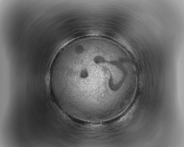 X0000093410831200710190943