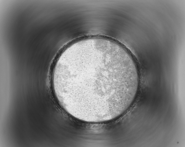 X0000093410832200710190943