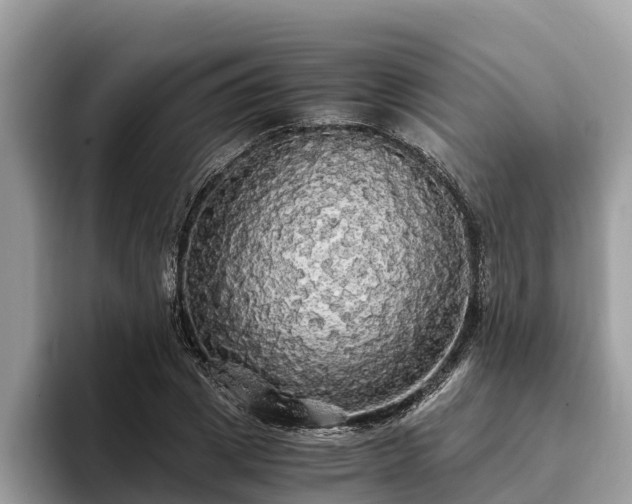 X0000093410833200710190943