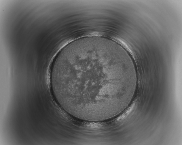 X0000093410835200710190943