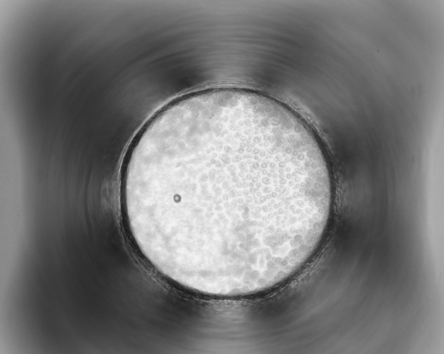 X0000093410836200710190943