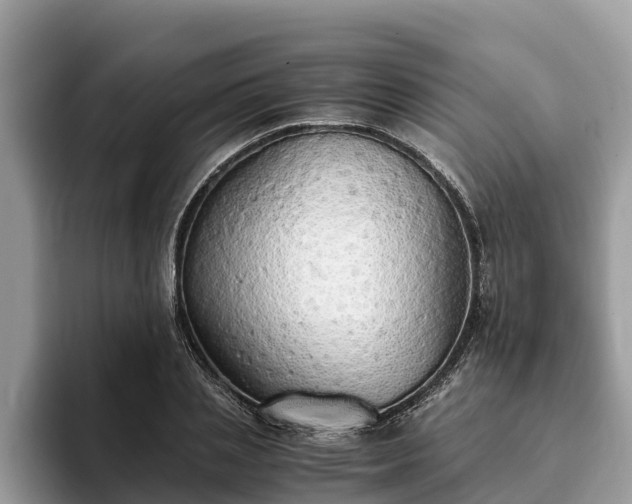 X0000093410837200710190943