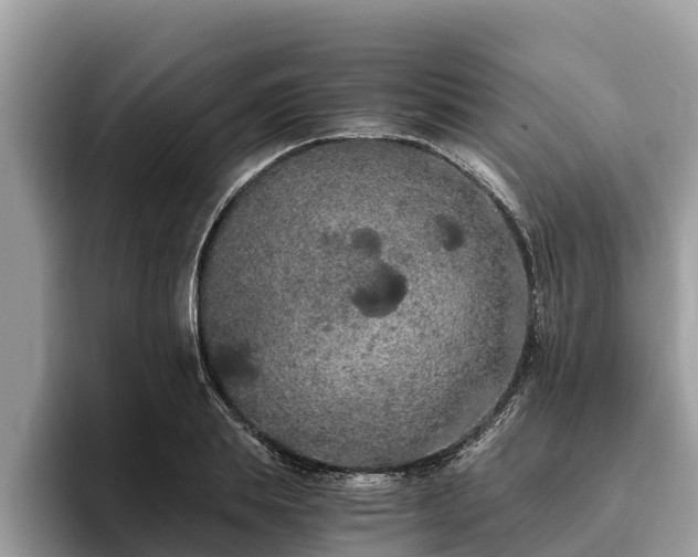 X0000093410839200710190943