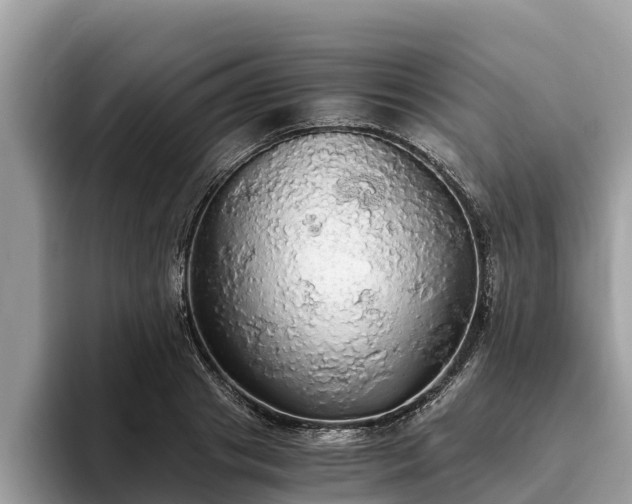 X0000093410841200710190943