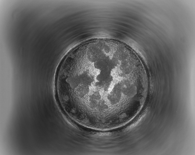 X0000093410845200710190943