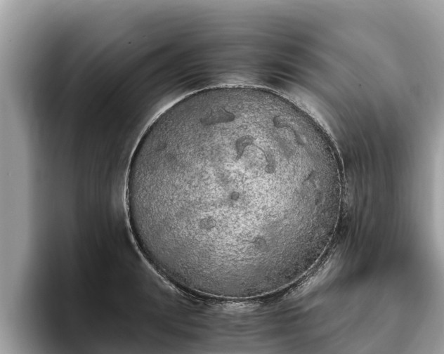 X0000093410847200710190943