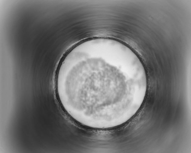 X0000093410848200710190943