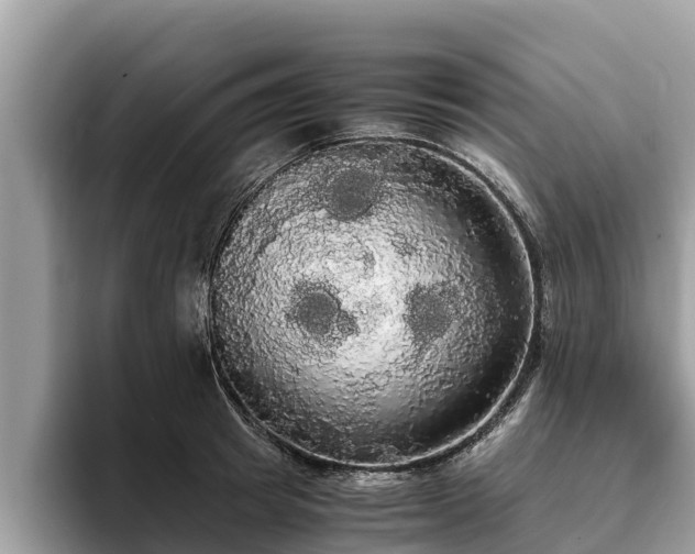 X0000093410849200710190943