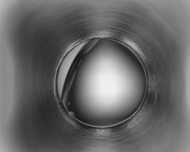 X0000093410850200710190943