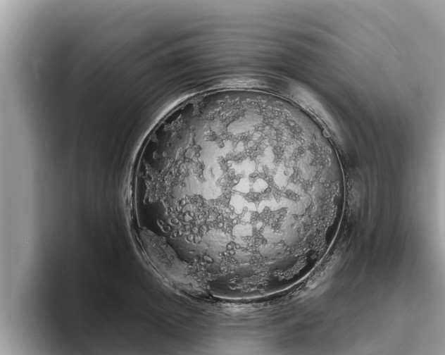 X0000093410852200710190943