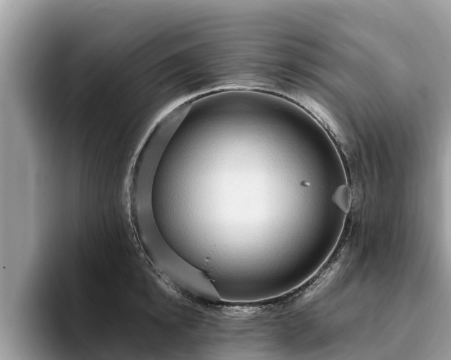 X0000093410854200710190943