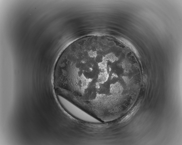 X0000093410855200710190943