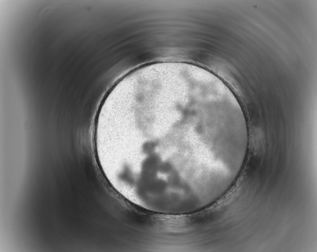 X0000093410856200710190943