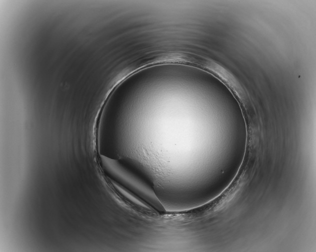 X0000093410858200710190943