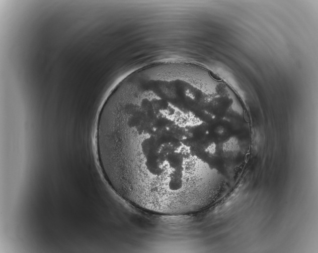 X0000093410863200710190943